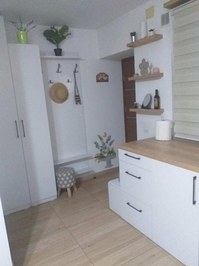 Fully Furnished Studio ซิกเกตู มาร์มาซีเอ ภายนอก รูปภาพ